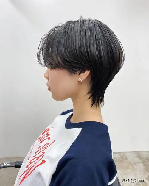 头发细软少的短发图片(这才是我想要的短发) - 赤虎壹号