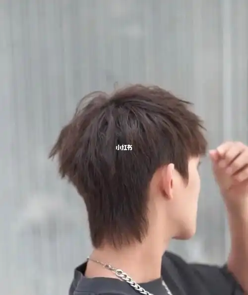 2022最火狼尾碎盖