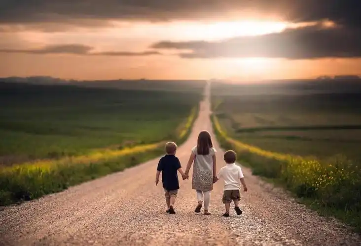 孩子,步行,宏,照片,主题,自然,天空,云,太阳,日落,男孩,女孩,情况