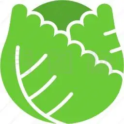 白菜图标