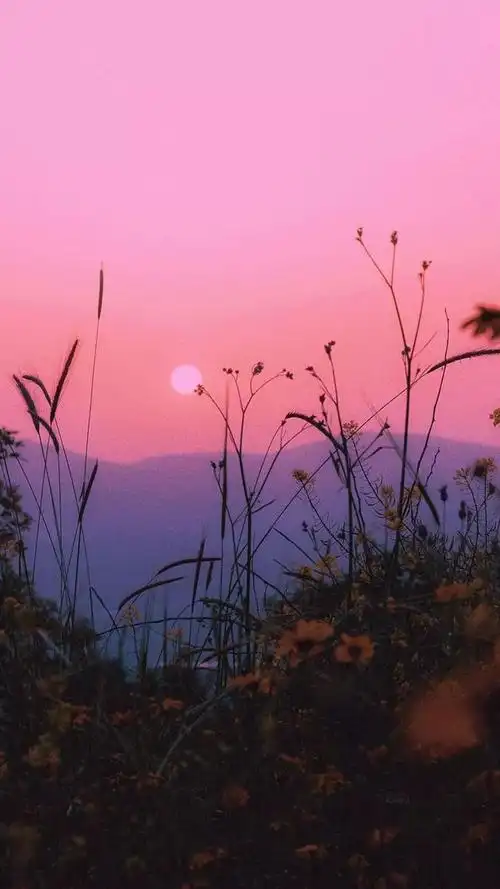 「ins壁纸」ins上超火的高清壁纸!请签收!