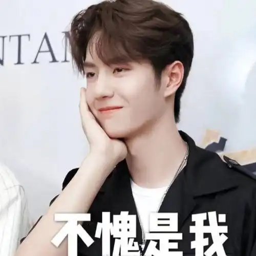 用表情包安利王一博