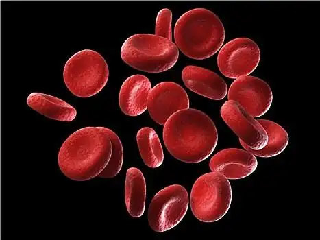 红细胞图片