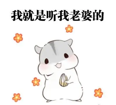 关于老婆最大这些类型的哄老婆的表情包,我要啊啊啊!大神助我