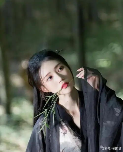 古装写真|古风汉服清新美女,气质温婉端正,清新脱俗,优雅知性