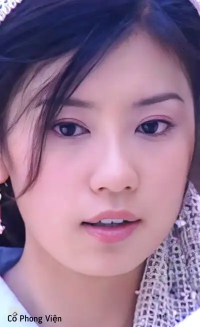 倚天屠龙记图片贾静雯