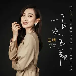 一百次飞翔 - 王晴 - qq音乐-千万正版音乐海量无损曲库新歌热歌天天
