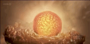 核心是 dna,外面由一层蛋白质包裹住.