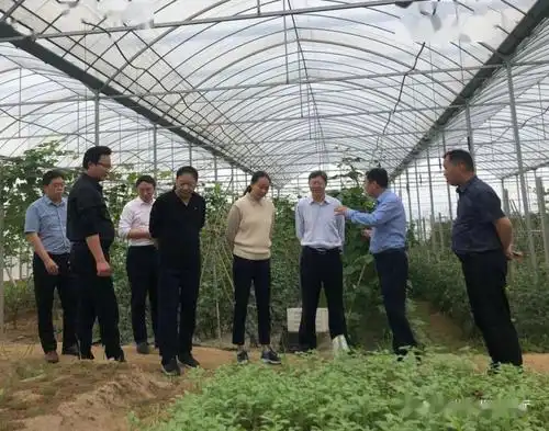 农业农村部种植业管理司来安徽调研绿色种养循环农业试点工作