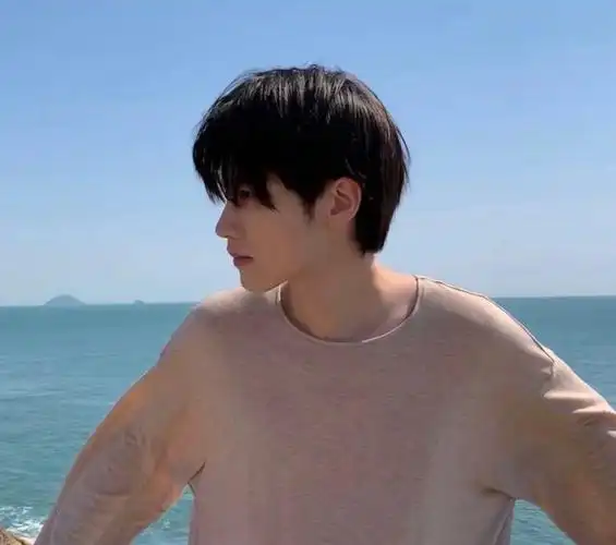 (男生头像干净帅气)月色温柔,而你更甚.