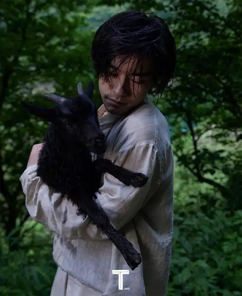 易烊千玺小烊抱小羊