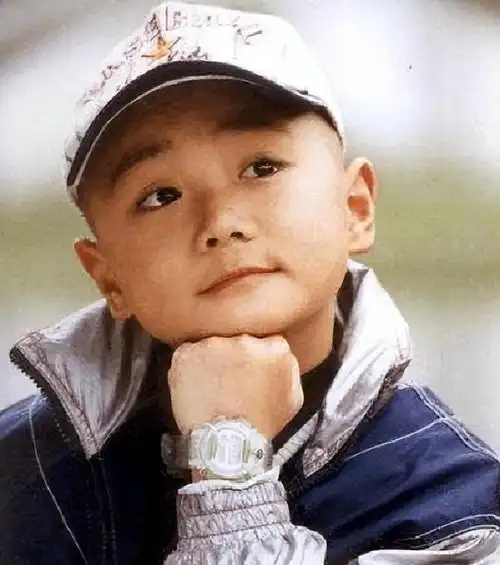 然而,在儿时的他,凭借电视剧《真命小和尚》一炮走红,成为当时最炙手