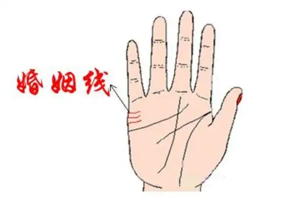 一生会拥有几个孩子看你手相就知道儿女线越深孩子也有出息