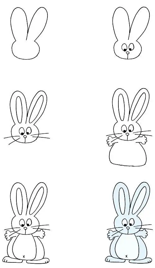 画画其实很简单6步就能画好的简笔画你也可以学会