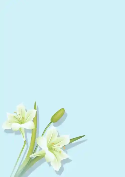 个人简历封面求职简历自荐信套装优秀模板医护护士岗位