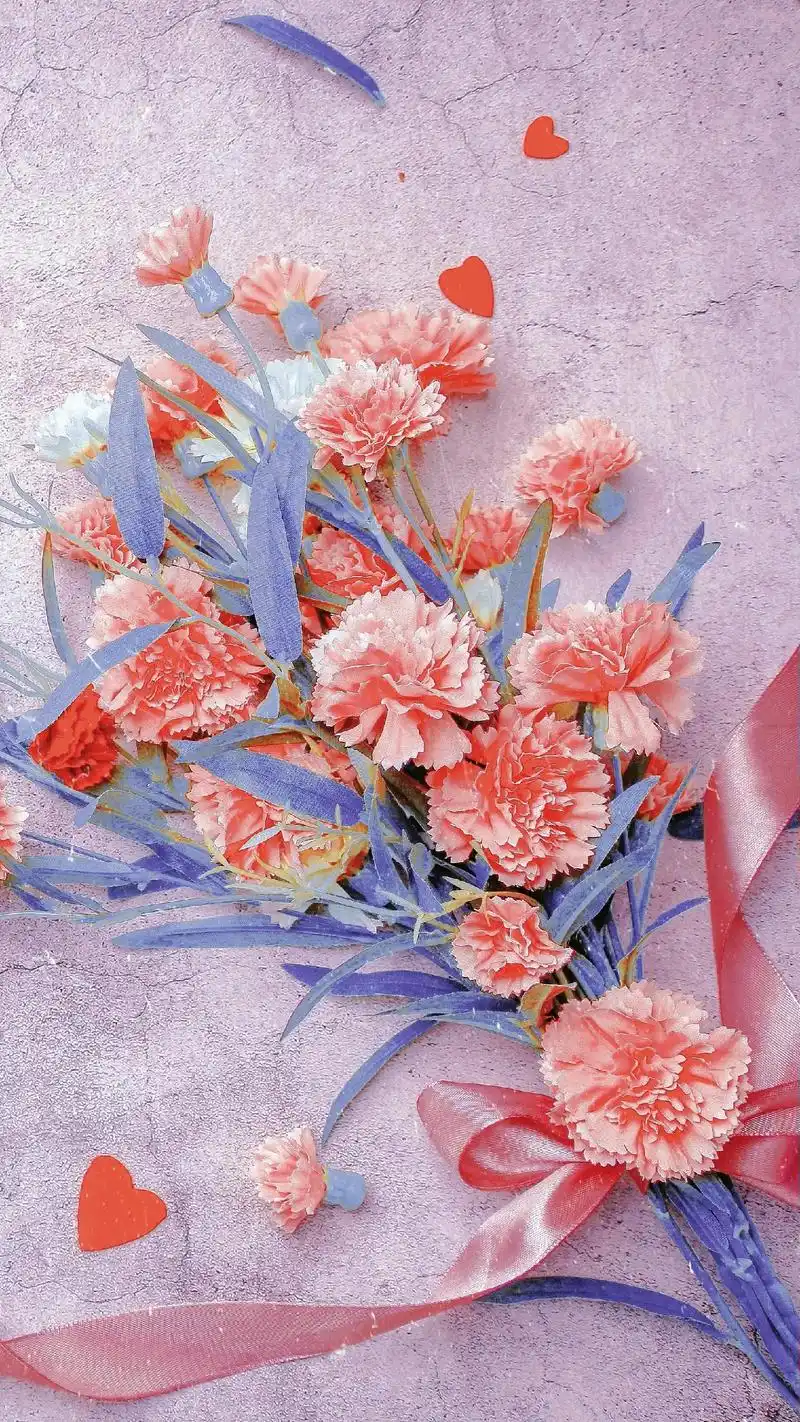 最浪漫的花搭配最温柔得你