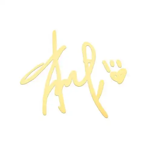 肖战同周边明星人像签名款同款手机金属发财暴富手机贴纸