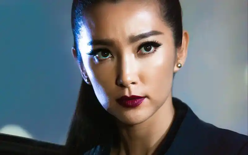 变形金刚4李冰冰高清电脑桌面壁纸