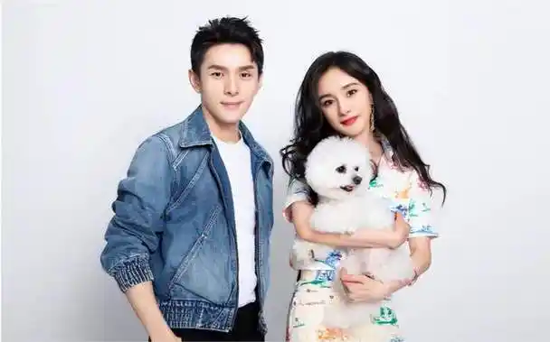 资产被扒一年净赚18亿,总身价早已超50亿|胡歌|唐嫣|辛巴|国际曲棍球