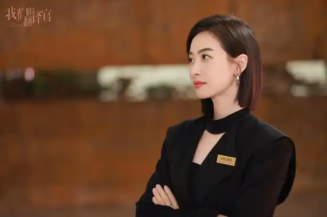 宋茜我们的翻译官