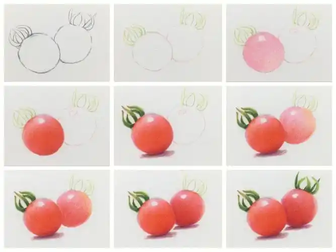 零基础彩铅小小西红柿的绘画步骤图