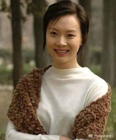 陈数早期的宽下额,鼻梁也不是很挺,上妆后虽然漂亮,但远不及现在这般