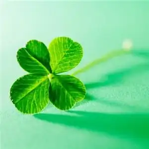 唯美清新的四叶草图片头像