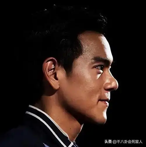 和其他男明星对比一下,就更加的明显,古天乐的鼻子就十分优越!