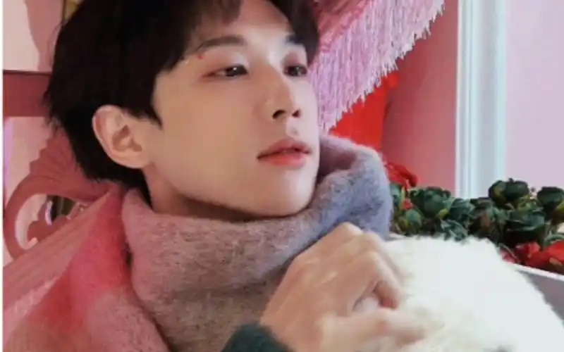 全网最可爱声优倒霉死勒