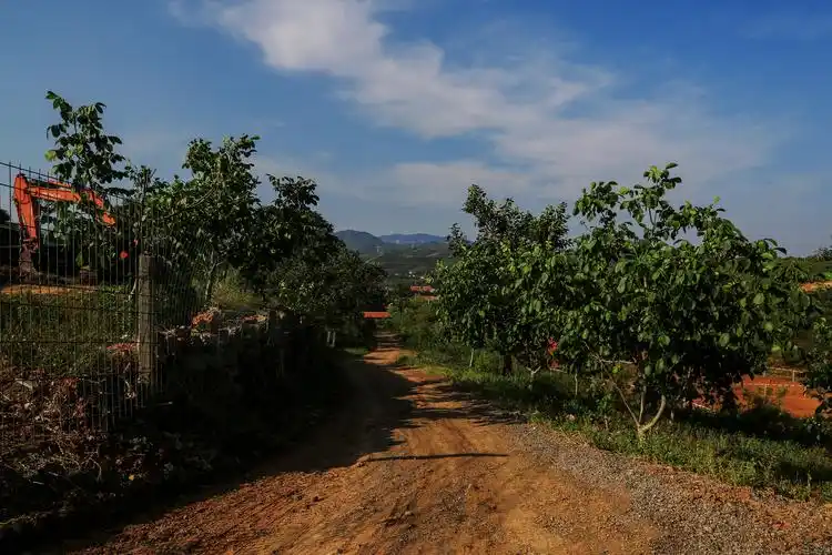 夏绿叠翠 悠然南山——再访蓟州区南山村