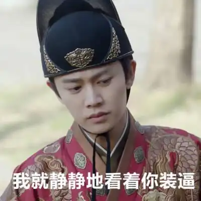 锦衣之下表情包