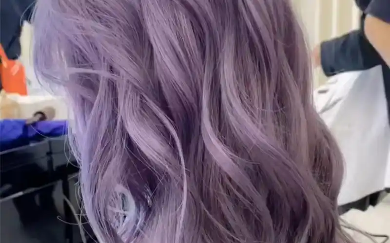 梦幻紫罗兰,仙女发色