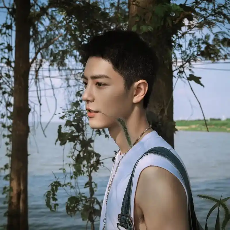 创作灵感 #向全世界安利 #肖战的侧脸 真的是绝绝子#少年 - 抖音