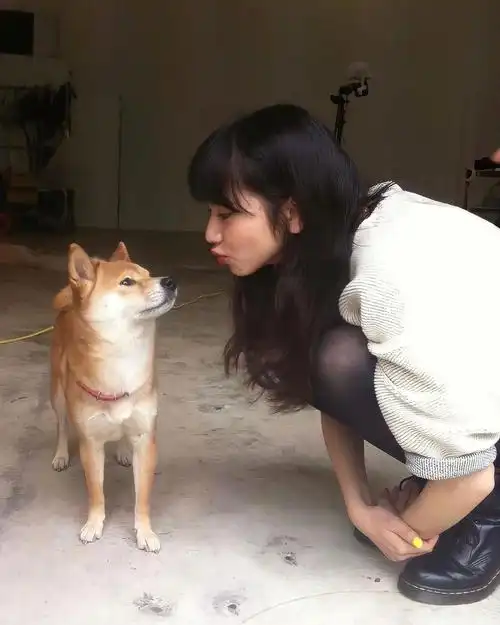 ins#小松菜奈#konichan7