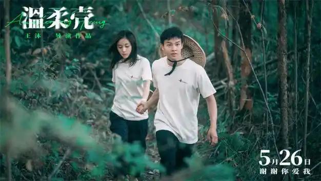 《温柔壳》开启预售 王子文尹昉直面现实爱情难题_深圳热线