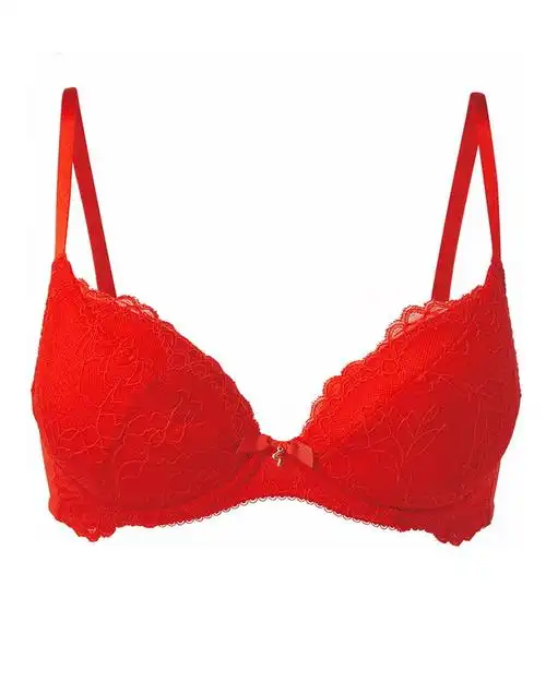 红色的女性胸罩文胸内衣png图片素材628995