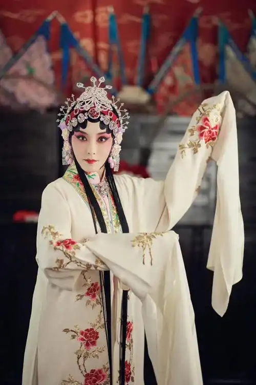 中戏两百年一遇的美女(朋友称其不上镜的曾黎到底有多美)