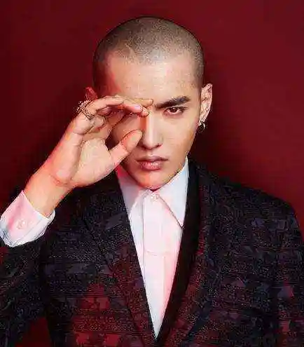 帅哭了的吴亦凡