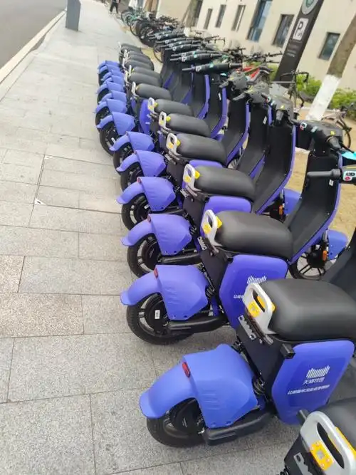 轻化工大学也有共享电动车了