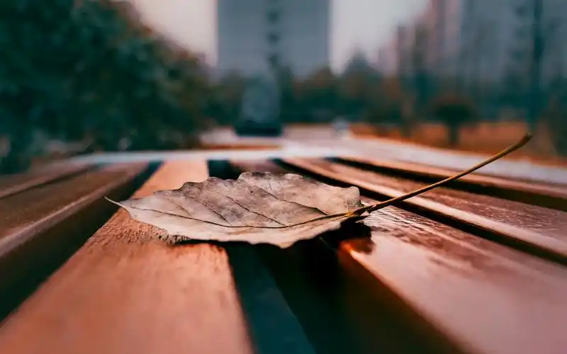 我拍的一些安静的,又淡淡忧伤的照片._哔哩哔哩_bilibili