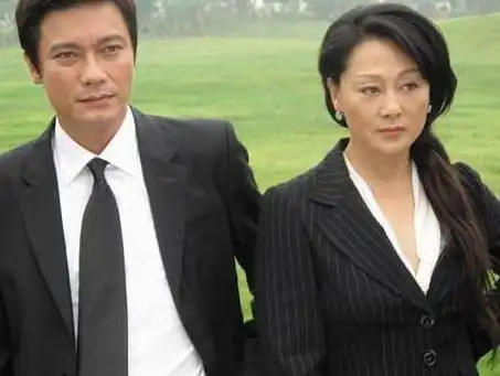 王姬丈夫高峰个人简历(王姬和老公的婚姻有多艰辛)-58百科