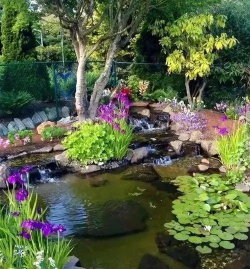 庭院中如何打造人工溪流景观?把握这3点,让你的庭院更自然