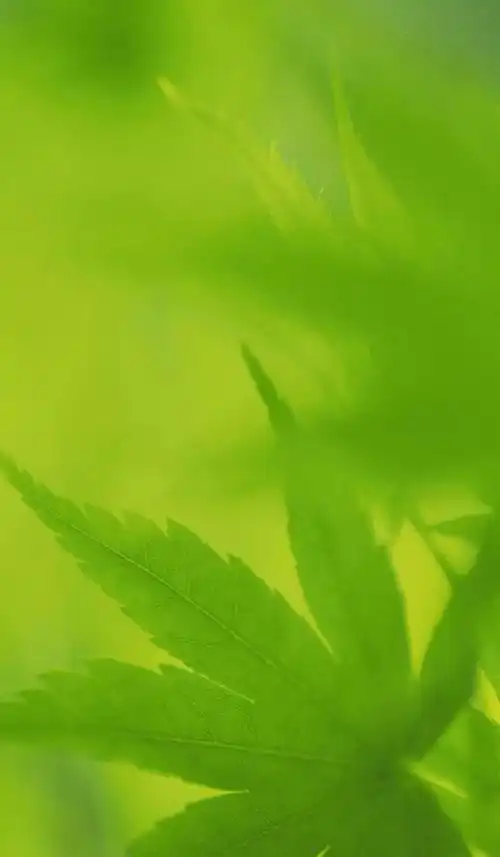 眼科专家推荐看微信保护眼睛的简单方法万人验证有效