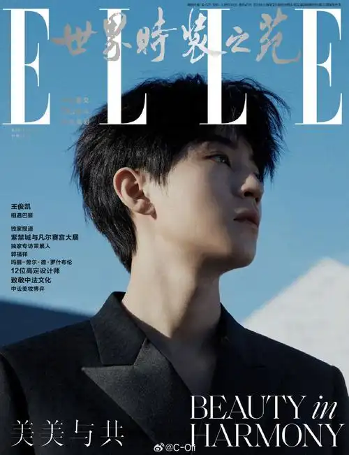 封面大赏##王俊凯elle四月刊封面