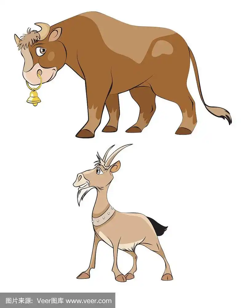 牛和羊