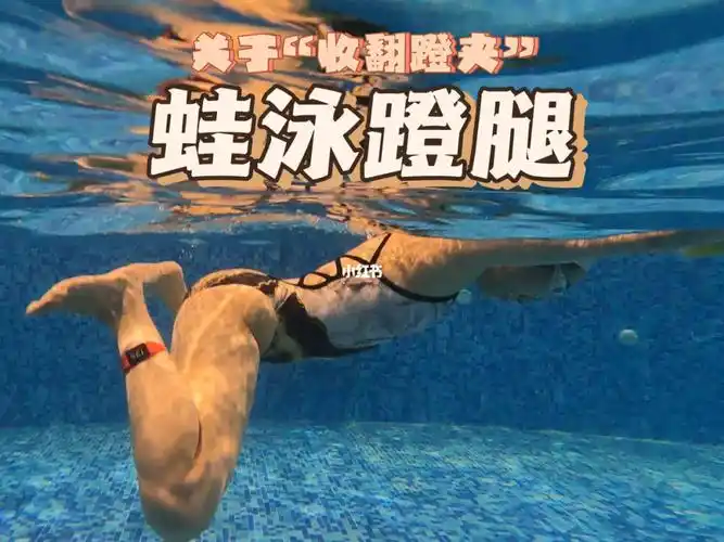 蛙泳蹬腿慢动作展示