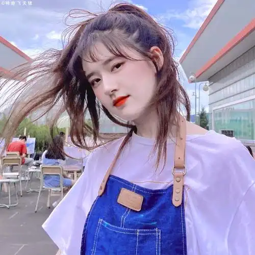 赵露思头像08神奇飞天猪