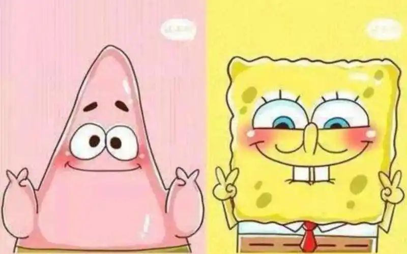 【海绵宝宝】海绵宝宝和派大星的友情|可可爱爱|没头脑