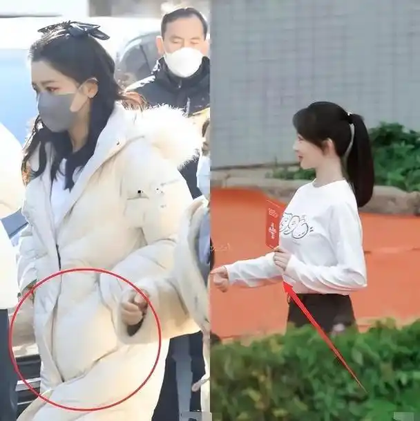 网传一线顶流女明星怀孕杨紫被拍到小腹隆起有人猜测瓜主是她