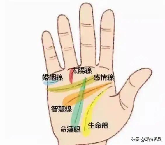 手相"男人断掌千斤两,女人断掌过房养"是什么意思?有啥说法